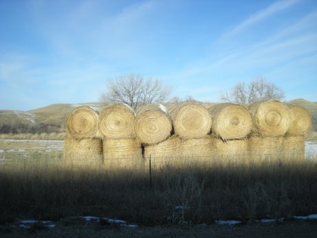 Bird Farm Bales, Banner, Wyoming