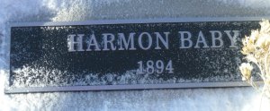 The Harmon Baby