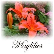 Maylilies Logo